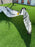 Core GTS 15m Used
