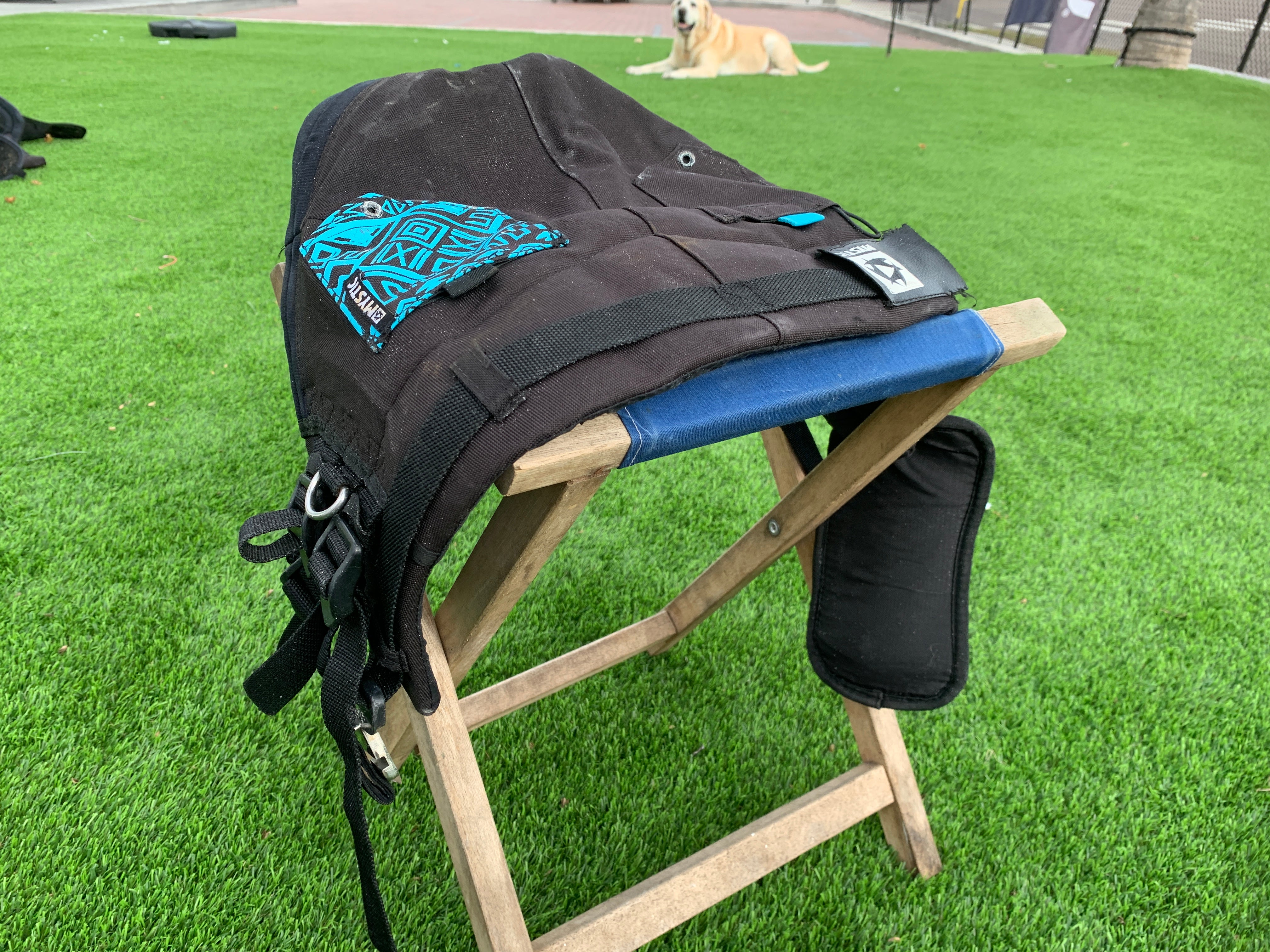 Mystic Passion S Seat Harness