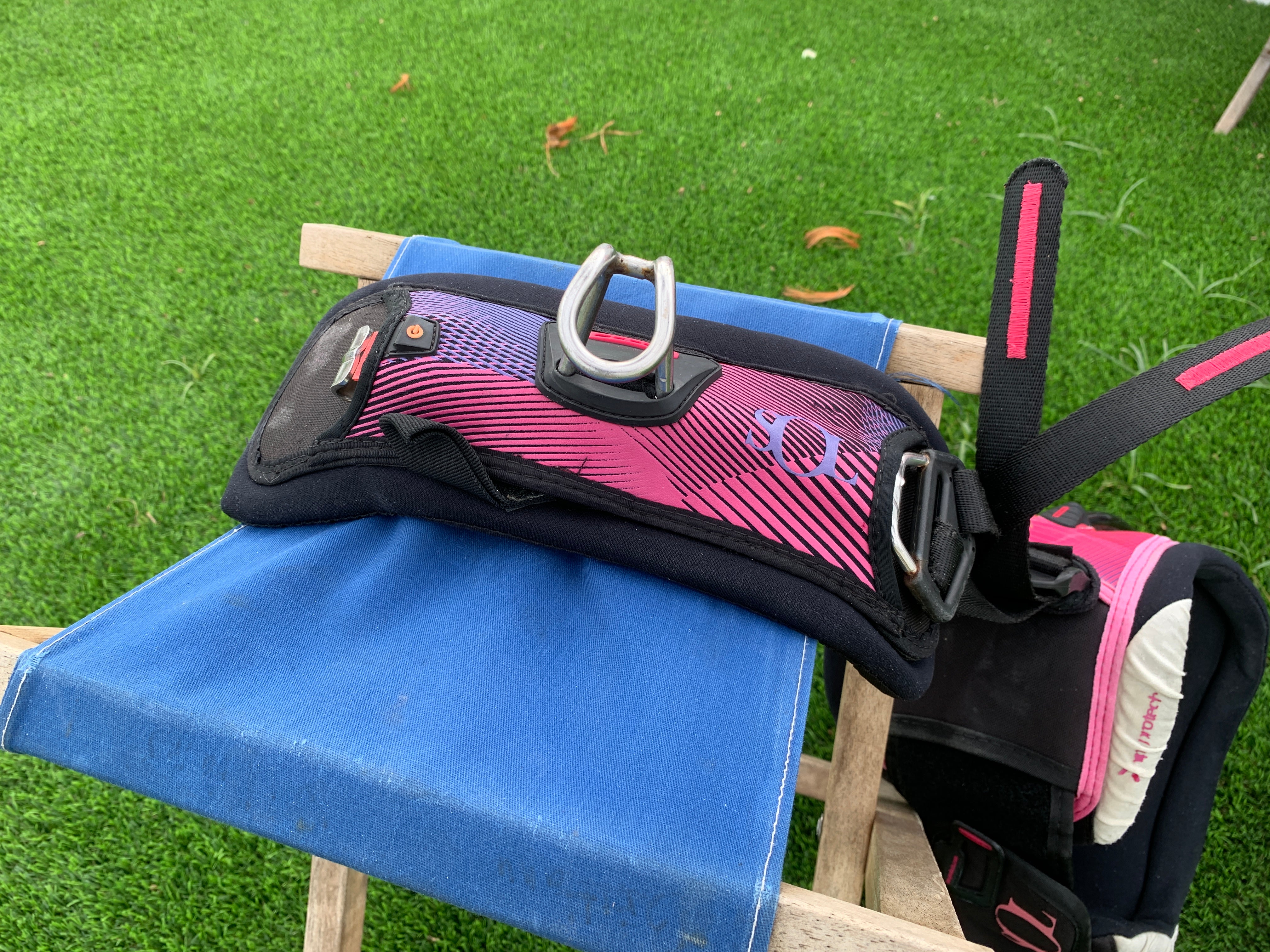 Ion Sol S Waist Harness Used