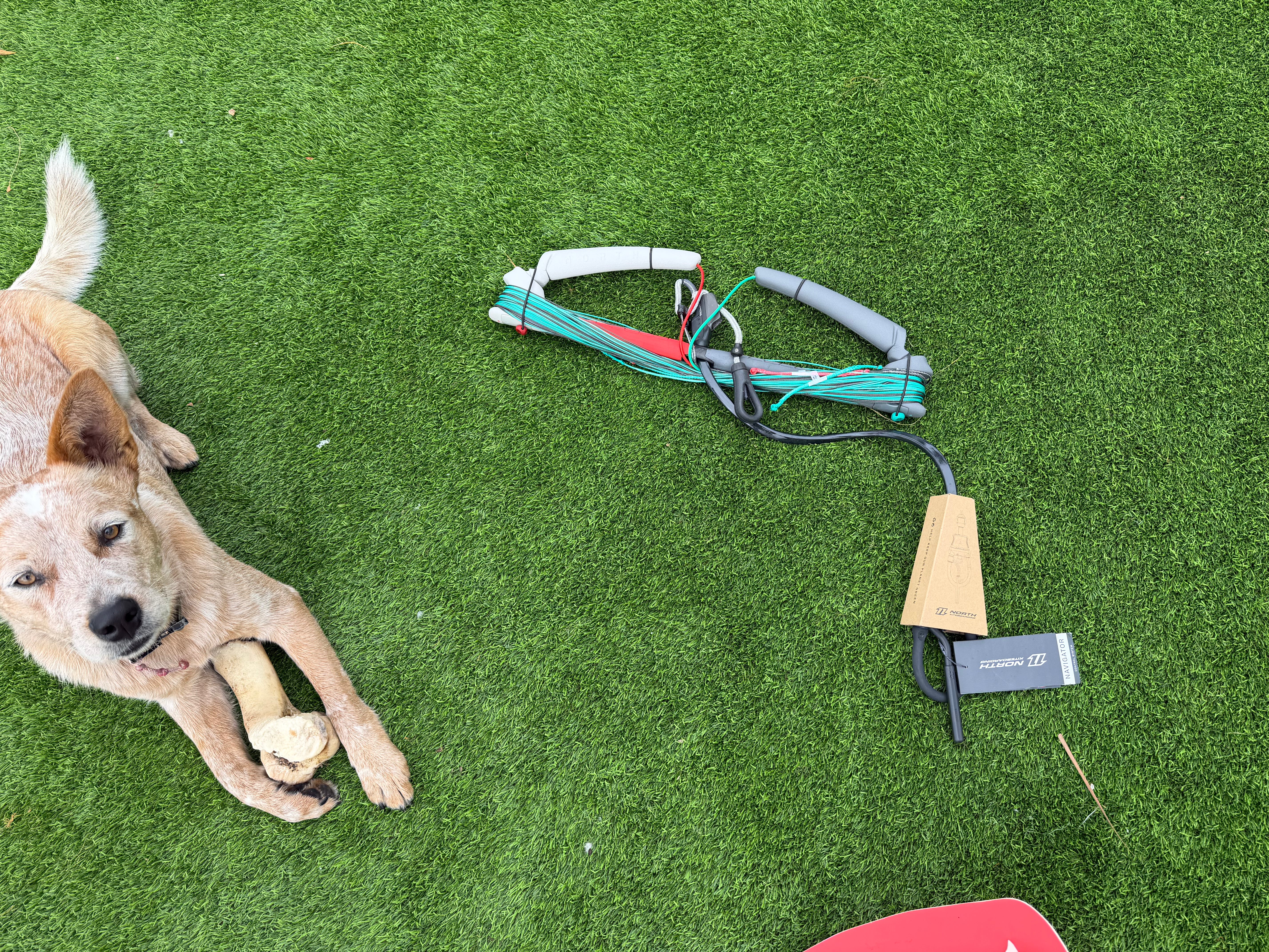 2021 North Navigator Bars (NEW)