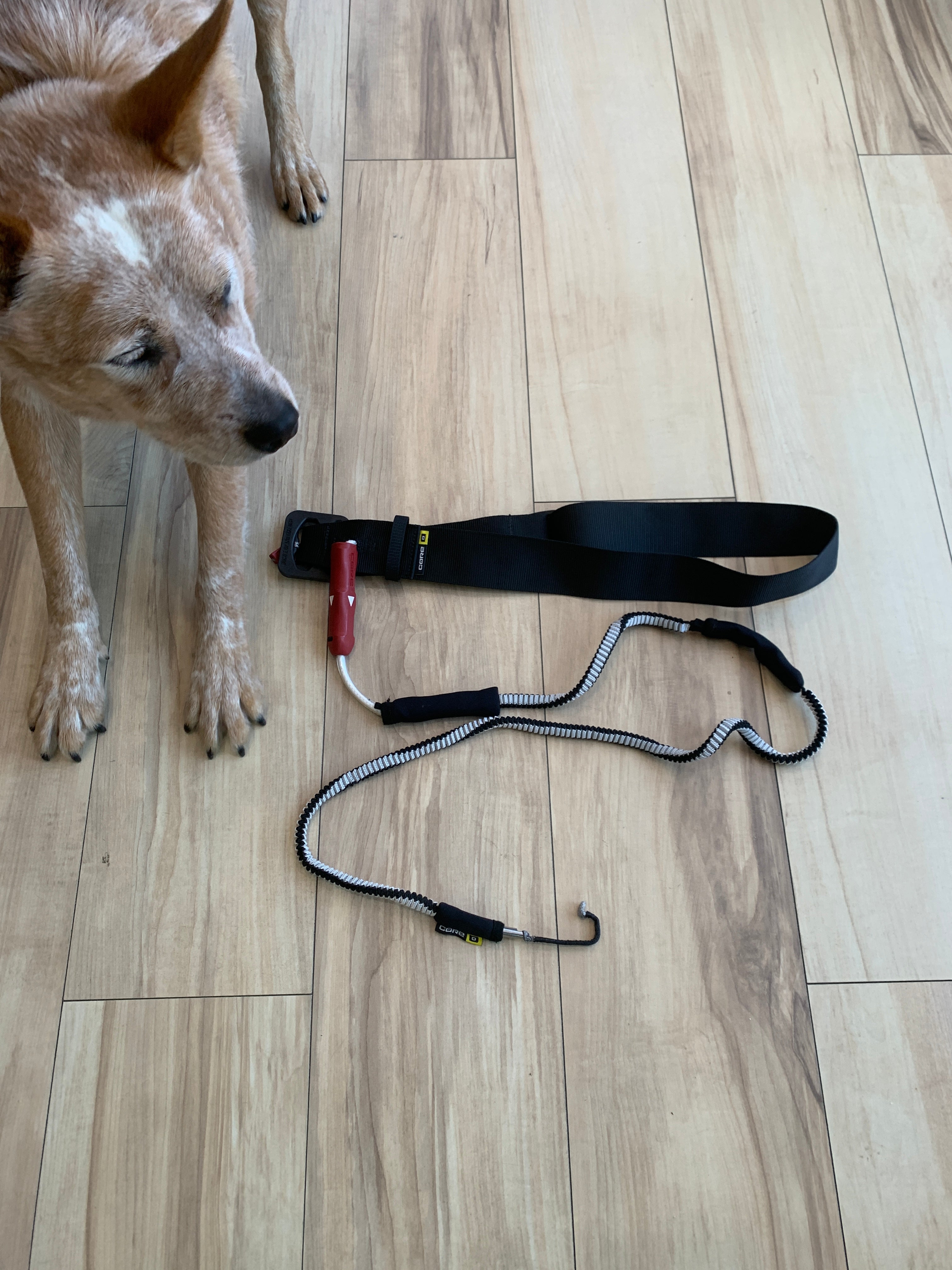 Core Wing Waist Leash 2.0 Used
