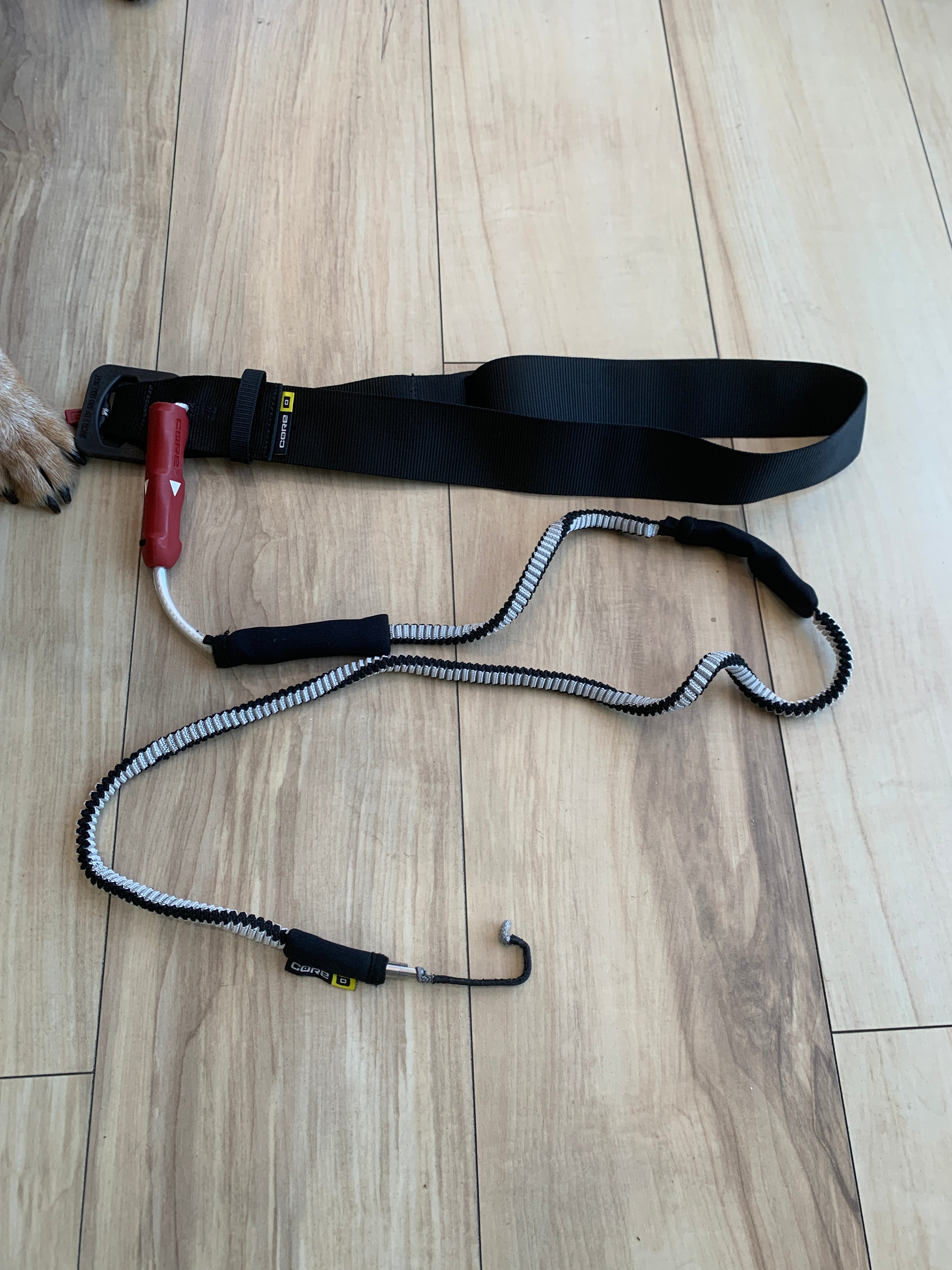 Core Wing Waist Leash 2.0 Used