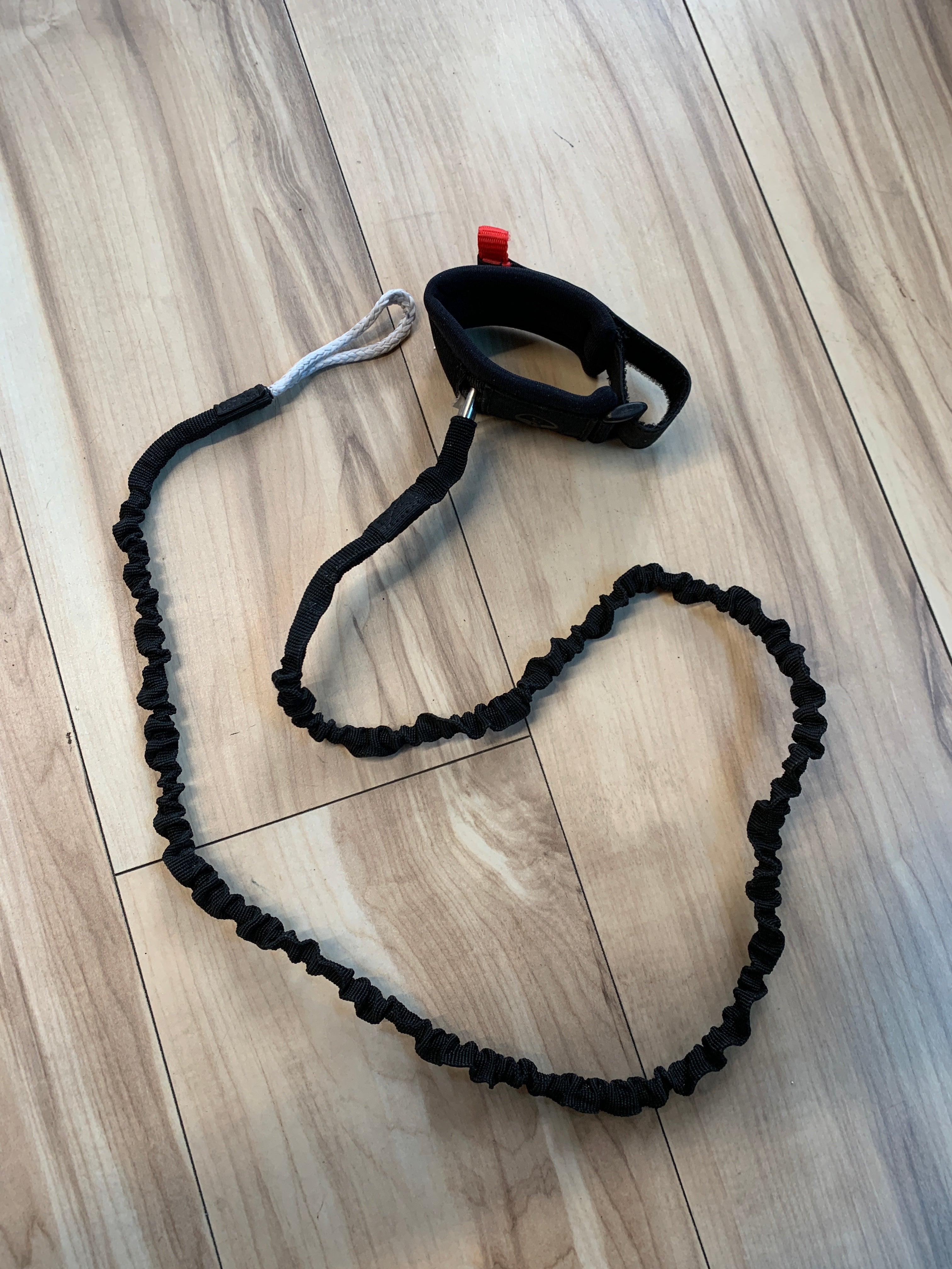 North Wing Leash Used