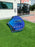 2025 North Nova Wing Pacific Blue 4.2m Demo