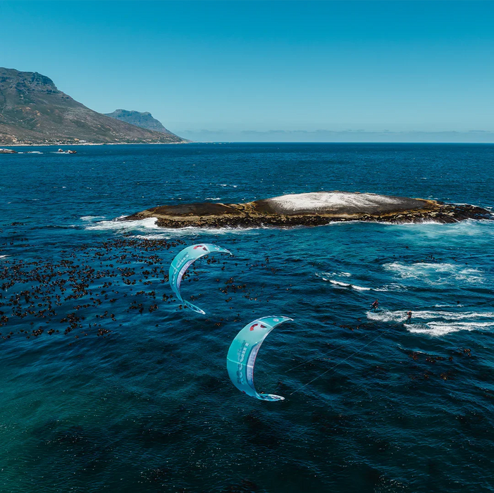 2026 Reedin Whisper Model