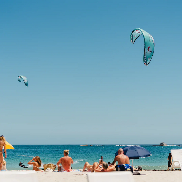 2026 Reedin Whisper Model