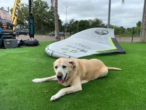 North Mode ULTRA Wing 6.5m Demo