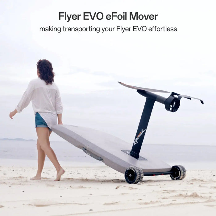 Waydoo Flyer Evo Max Plus